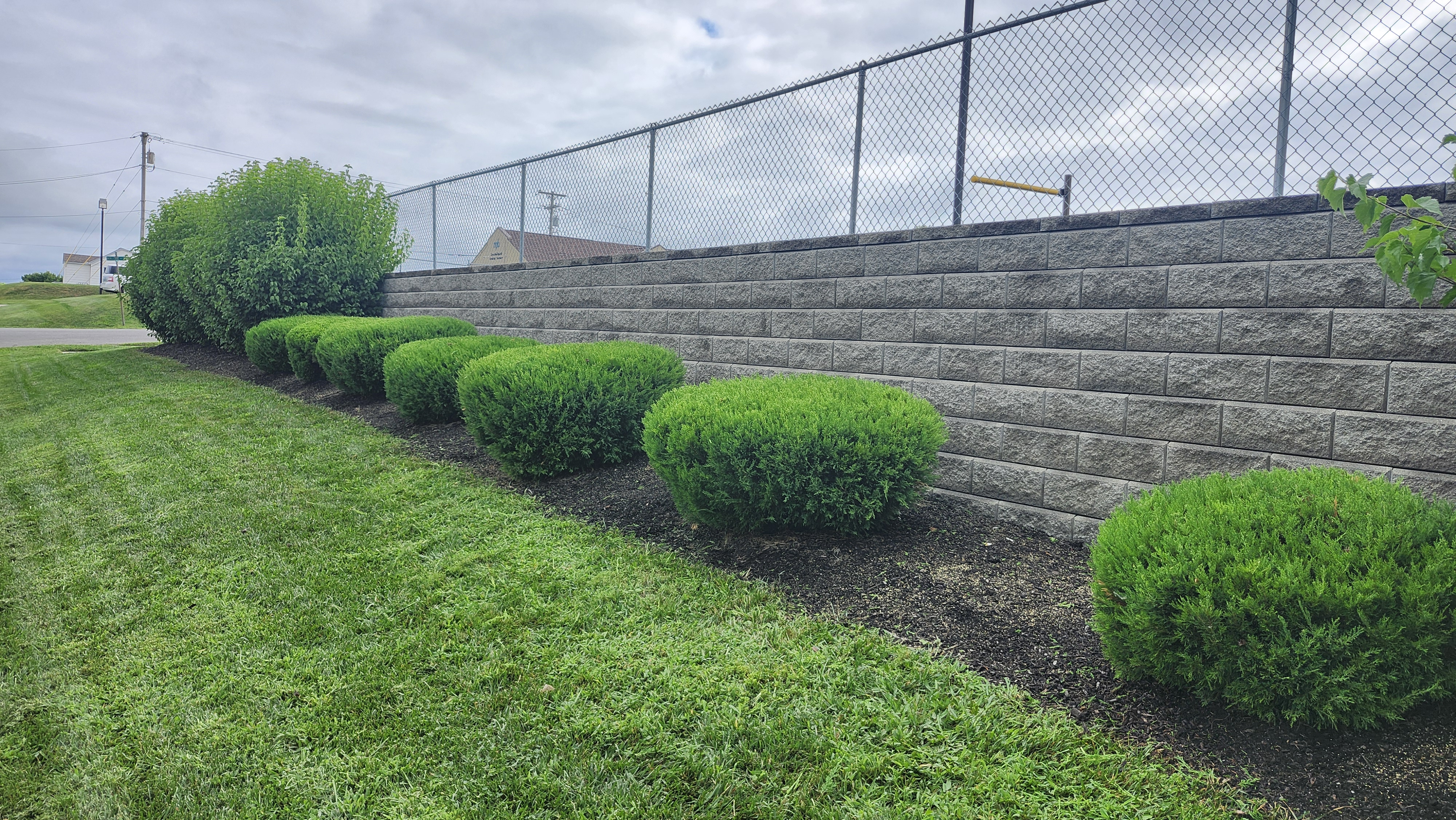 Lawn care and landscaping transformation