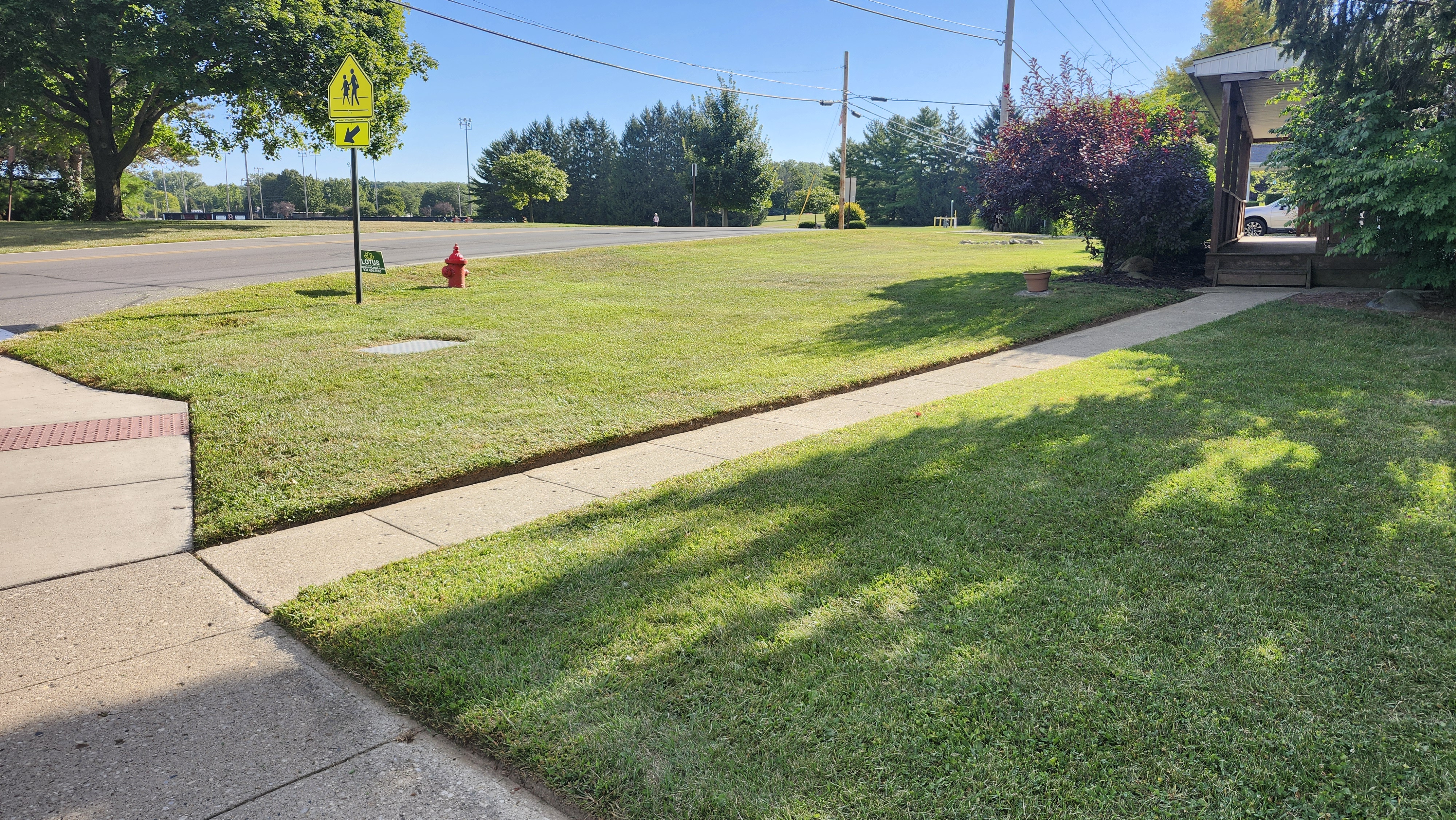 Professional landscape design installation