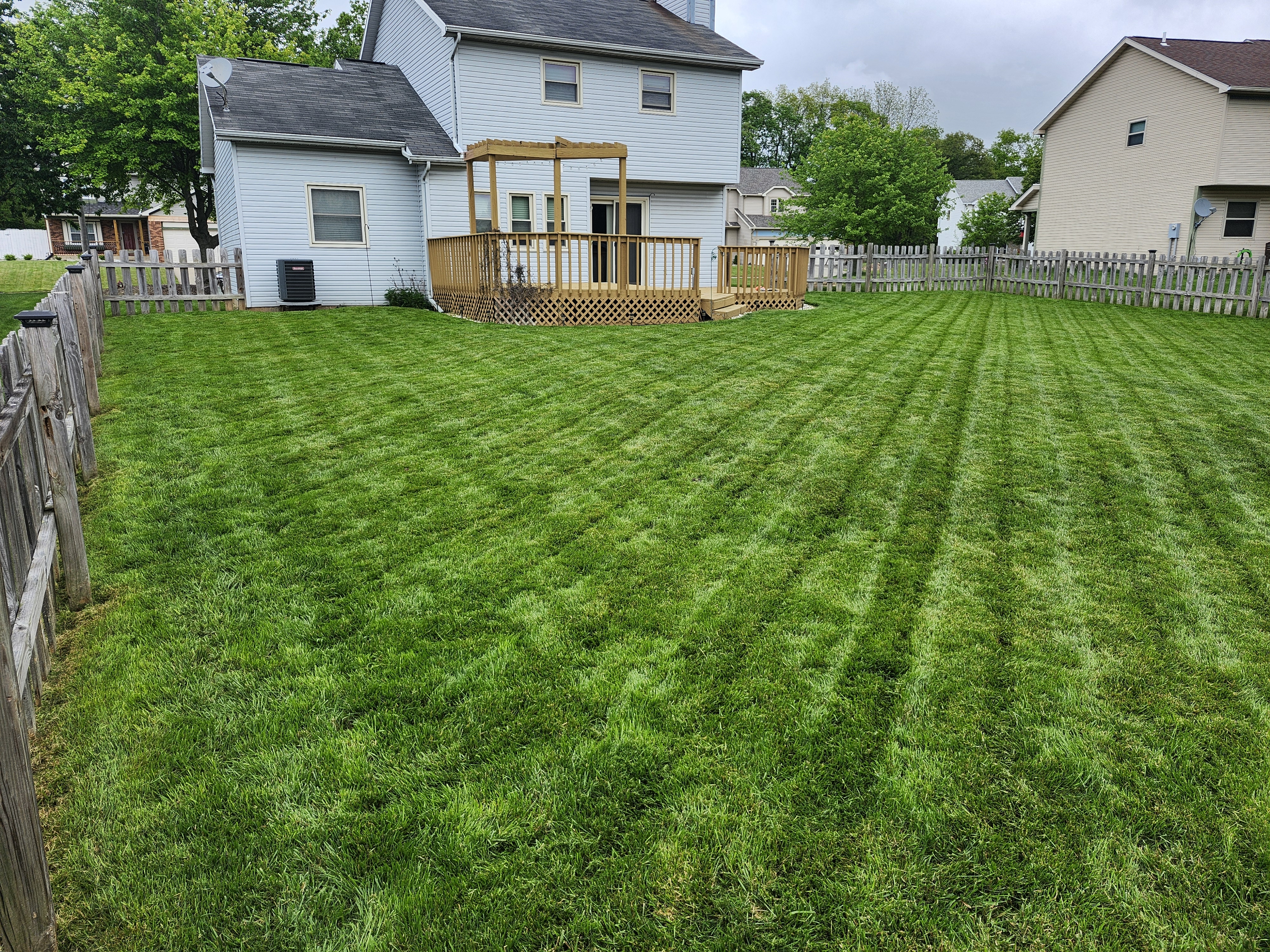 Yard maintenance and beautification